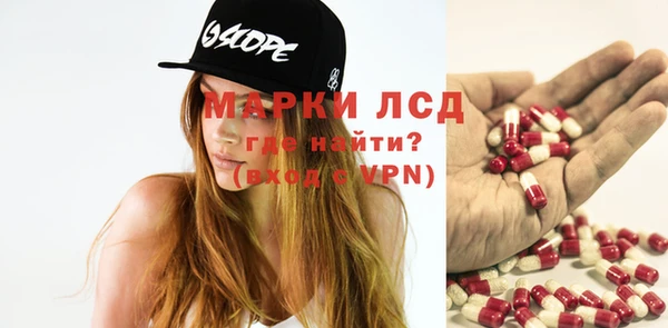 гашик Кулебаки