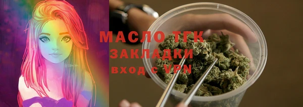 гашик Кулебаки