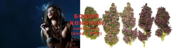 гашик Кулебаки