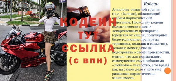 гашик Кулебаки