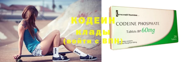 гашик Кулебаки