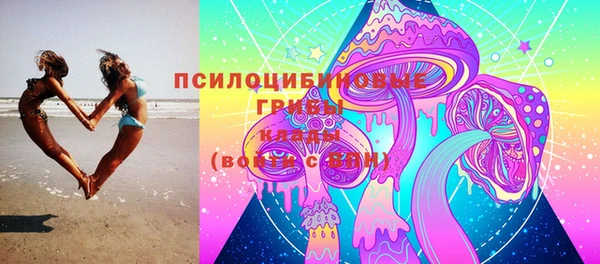 а пвп мука Куйбышев
